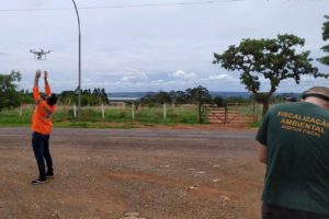 Foto: Divulgação/Brasília Ambiental